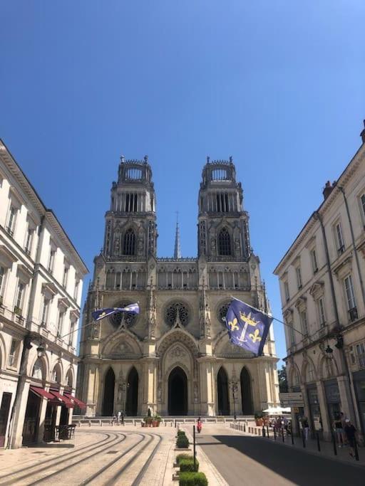 Apartamento Le Domremy F2 Au Coeur D'Orléans Exterior foto