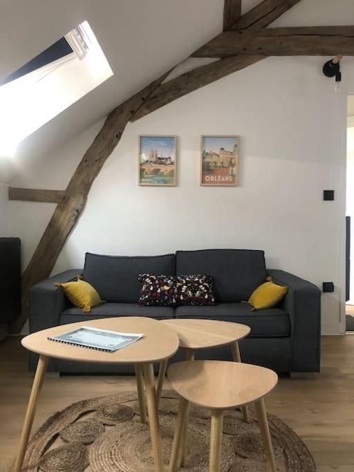 Apartamento Le Domremy F2 Au Coeur D'Orléans Exterior foto