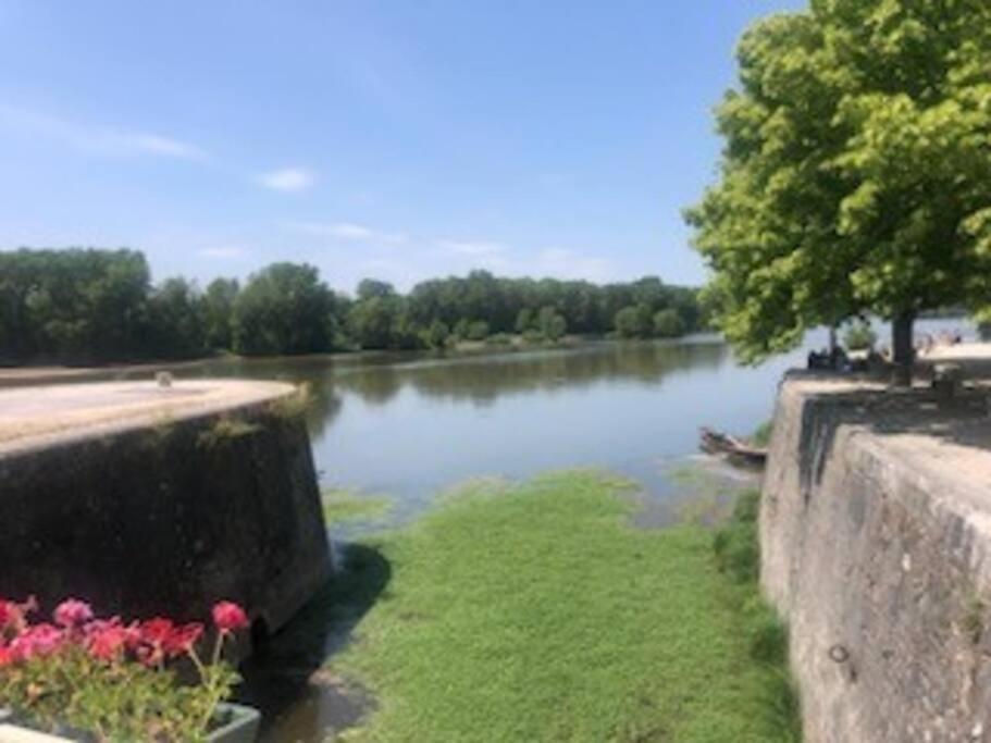 Apartamento Le Domremy F2 Au Coeur D'Orléans Exterior foto